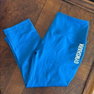 Gymshark Blue Athletic Leggings